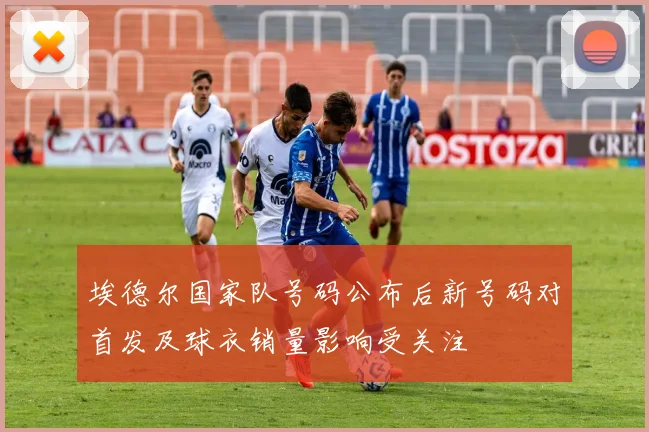 埃德尔国家队号码公布后新号码对首发及球衣销量影响受关注