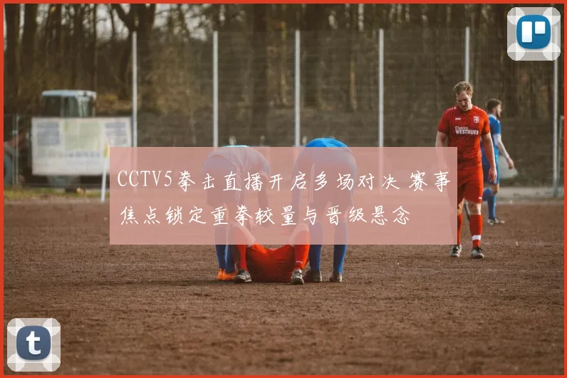 CCTV5拳击直播开启多场对决 赛事焦点锁定重拳较量与晋级悬念