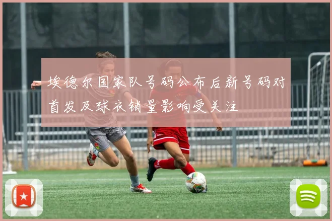 埃德尔国家队号码公布后新号码对首发及球衣销量影响受关注