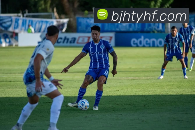 星空网官网登录入口手机版平台生态图