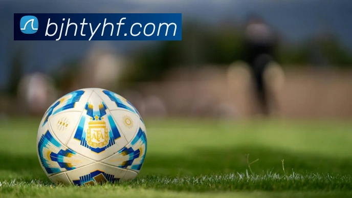 星空网官网登录入口手机版全站App